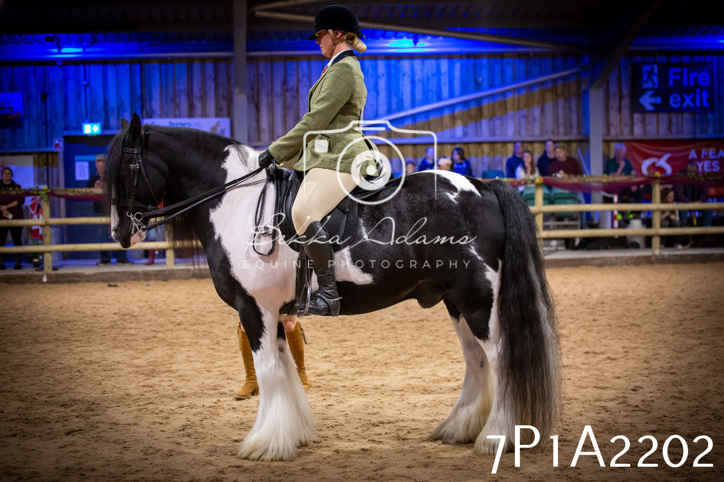 JHOYS 2025 - Ridden Showing - 28th September - pt1