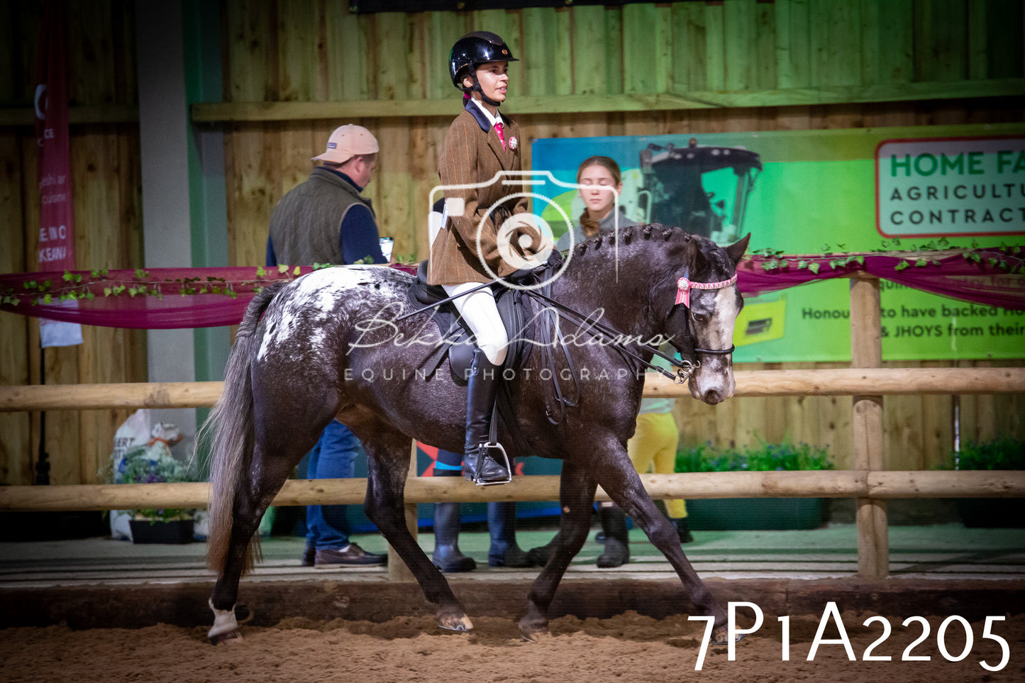 JHOYS 2025 - Ridden Showing - 28th September - pt1