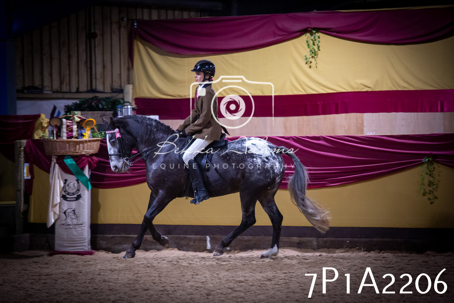 JHOYS 2025 - Ridden Showing - 28th September - pt1