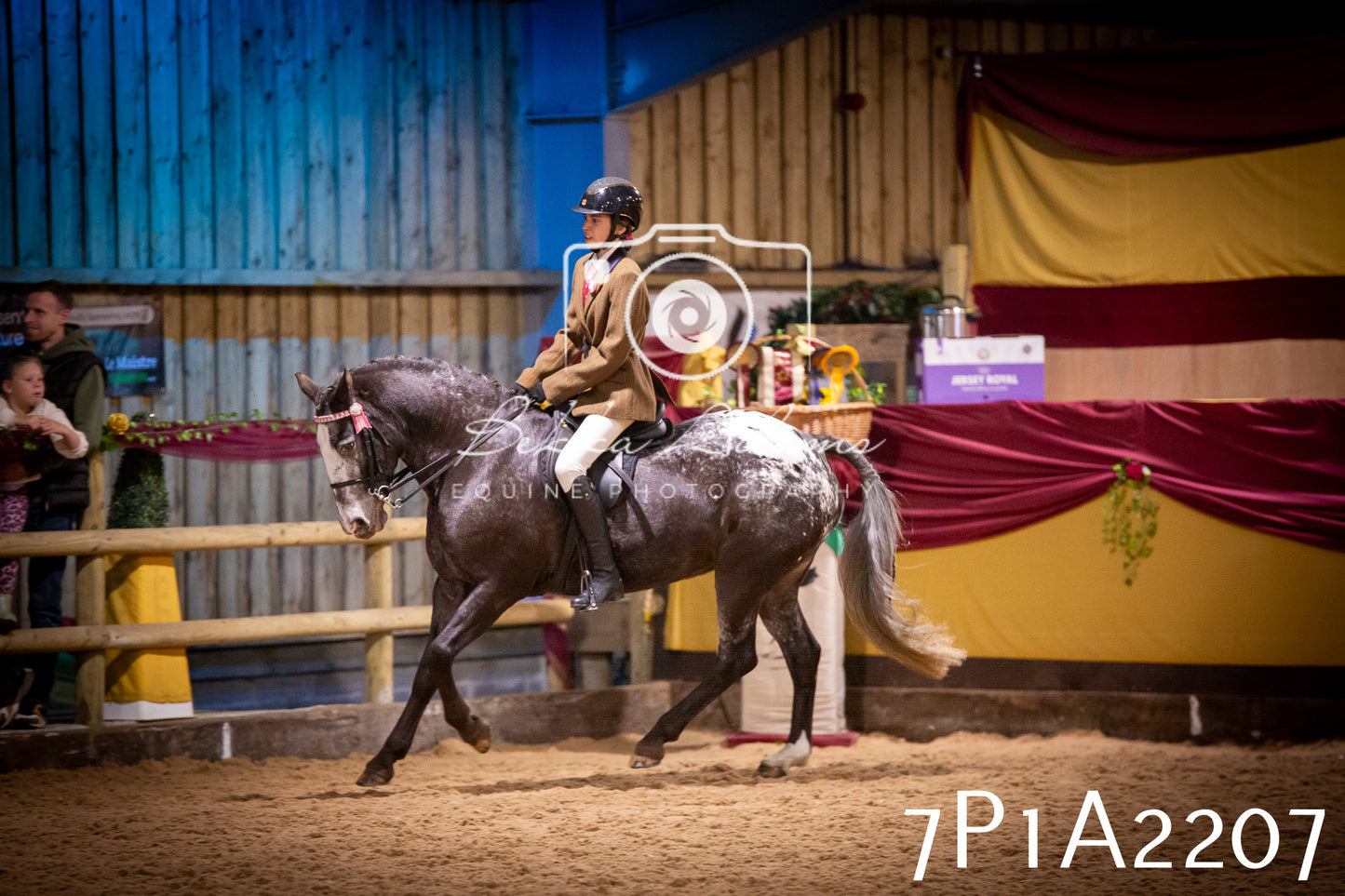 JHOYS 2025 - Ridden Showing - 28th September - pt1