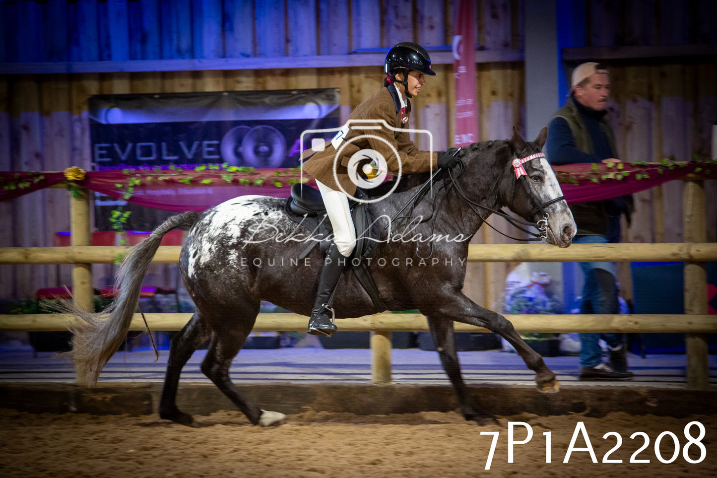 JHOYS 2025 - Ridden Showing - 28th September - pt1