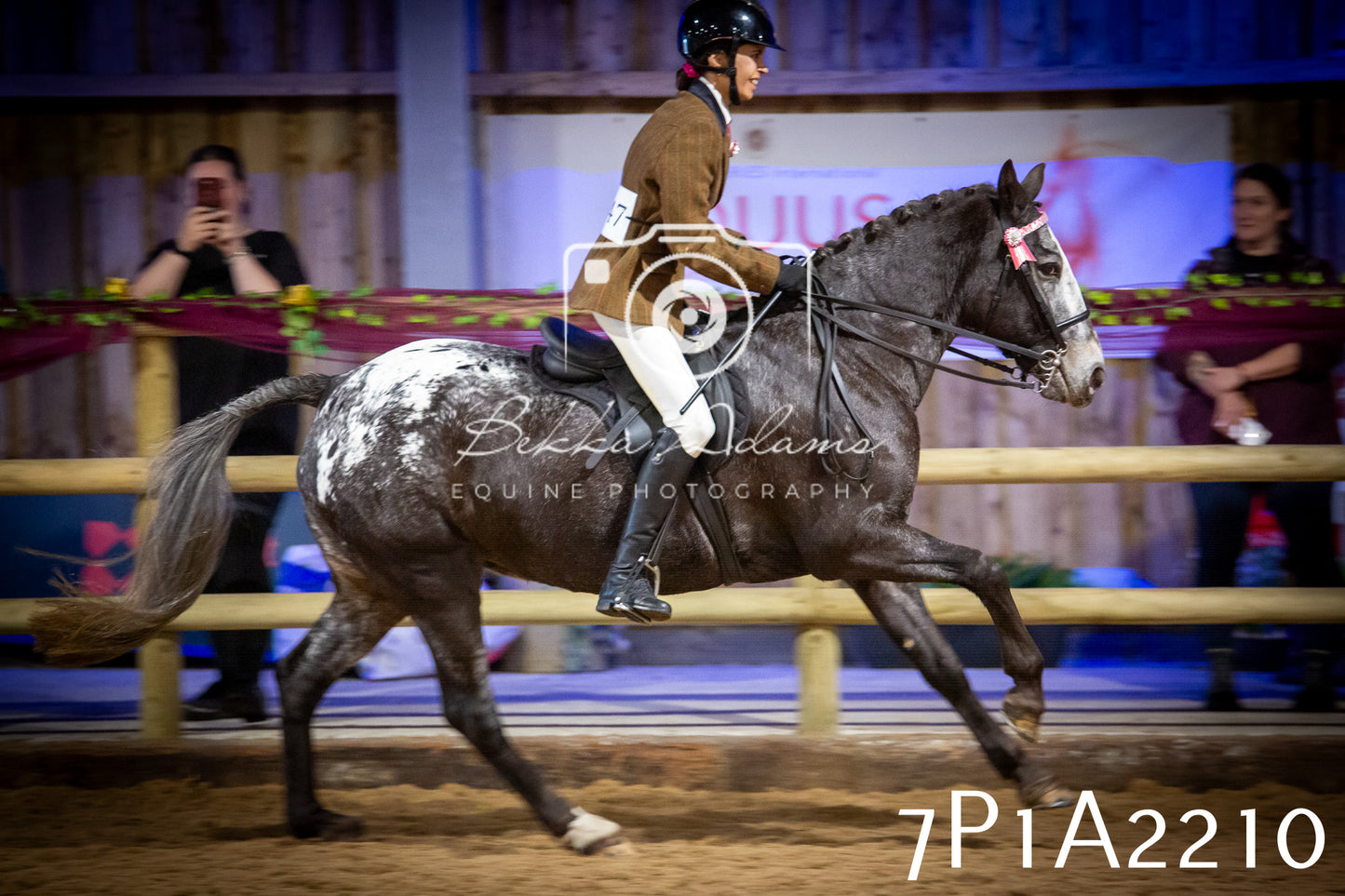 JHOYS 2025 - Ridden Showing - 28th September - pt1