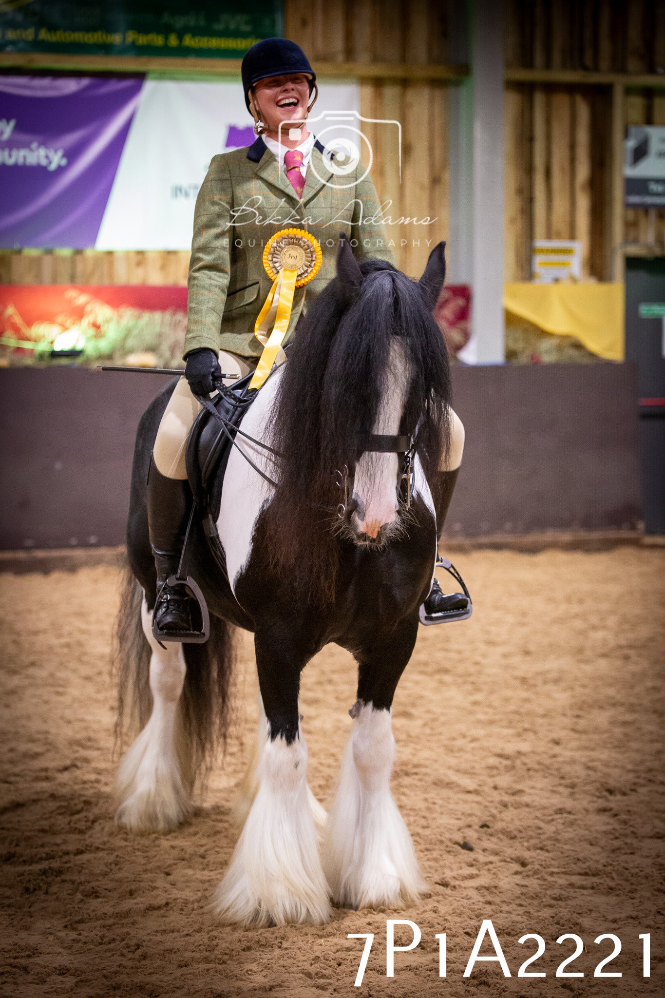 JHOYS 2025 - Ridden Showing - 28th September - pt1