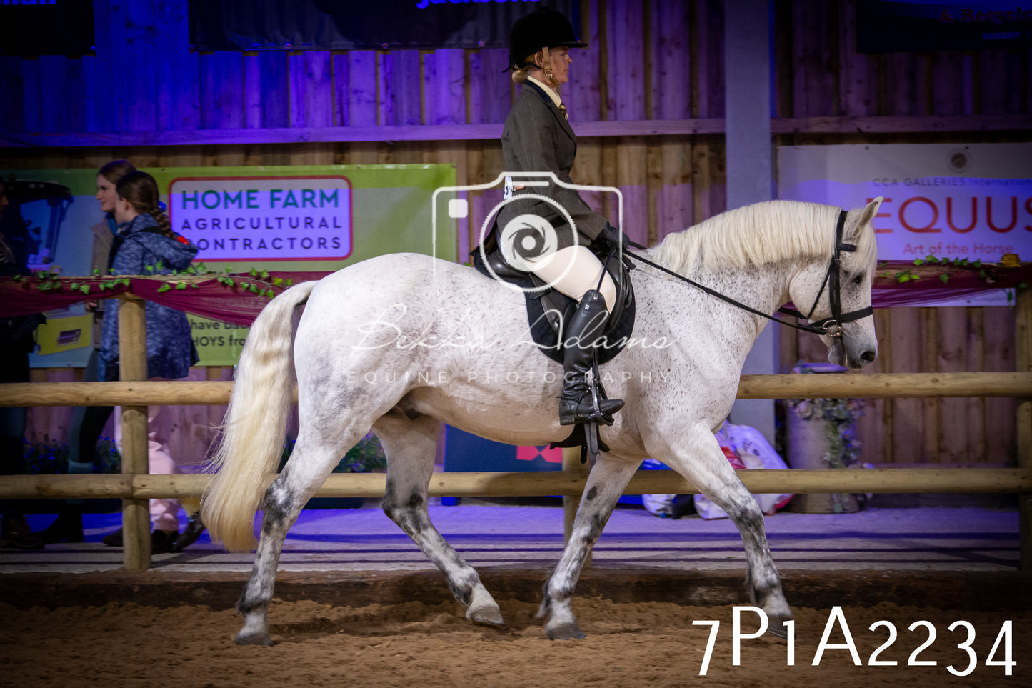 JHOYS 2025 - Ridden Showing - 28th September - pt1
