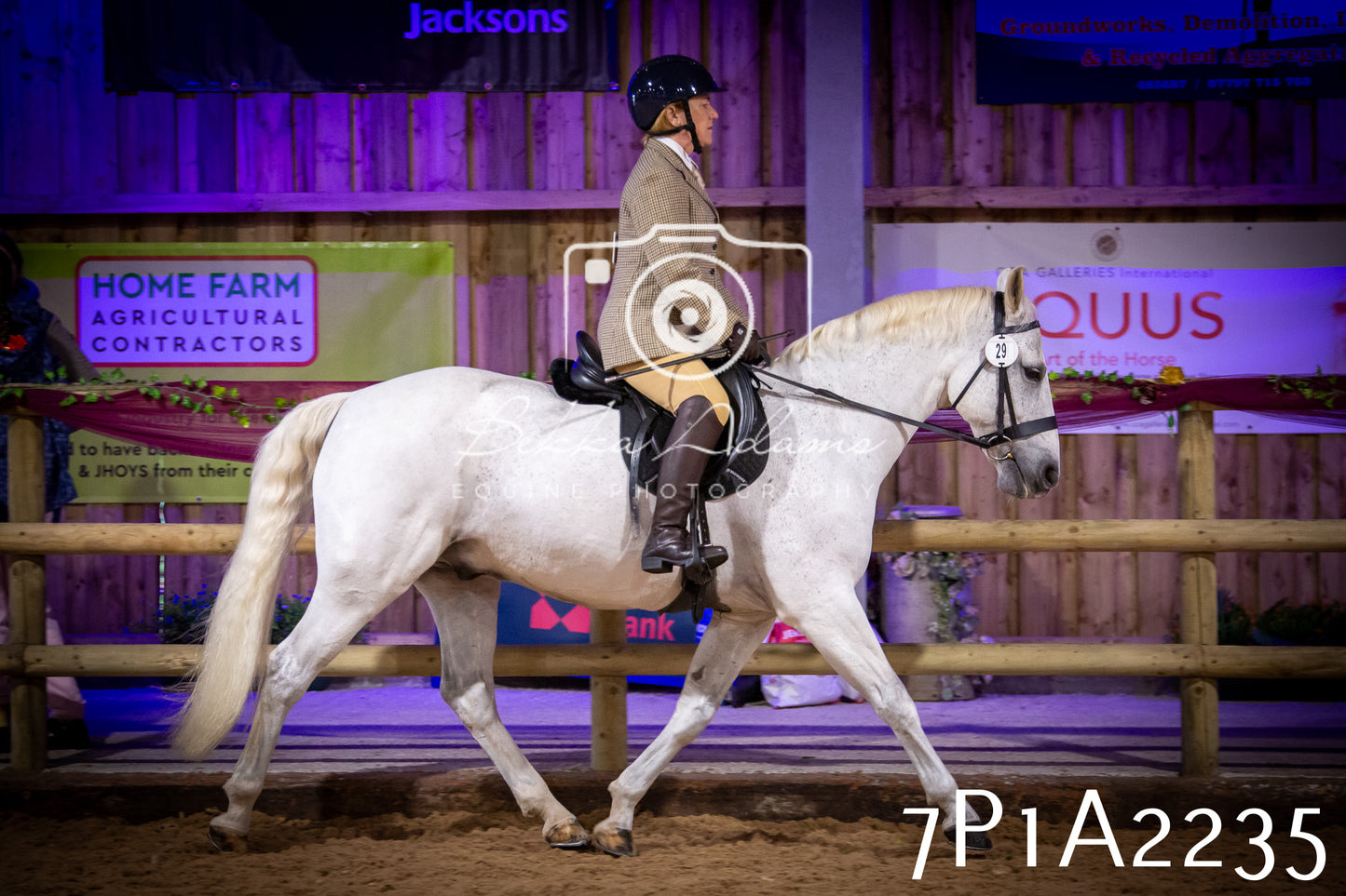 JHOYS 2025 - Ridden Showing - 28th September - pt1