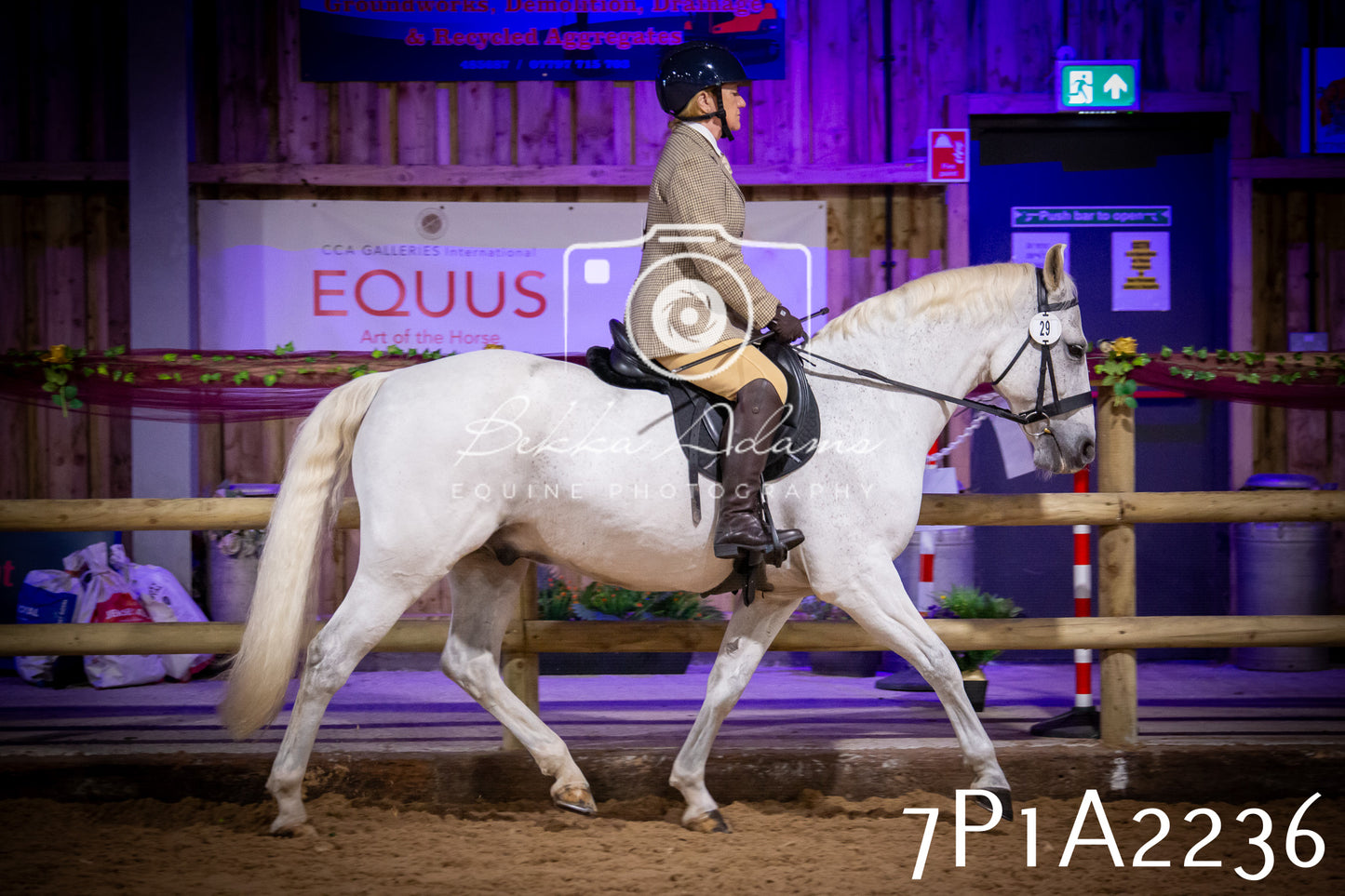 JHOYS 2025 - Ridden Showing - 28th September - pt1