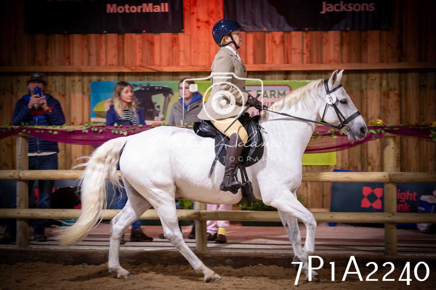 JHOYS 2025 - Ridden Showing - 28th September - pt1