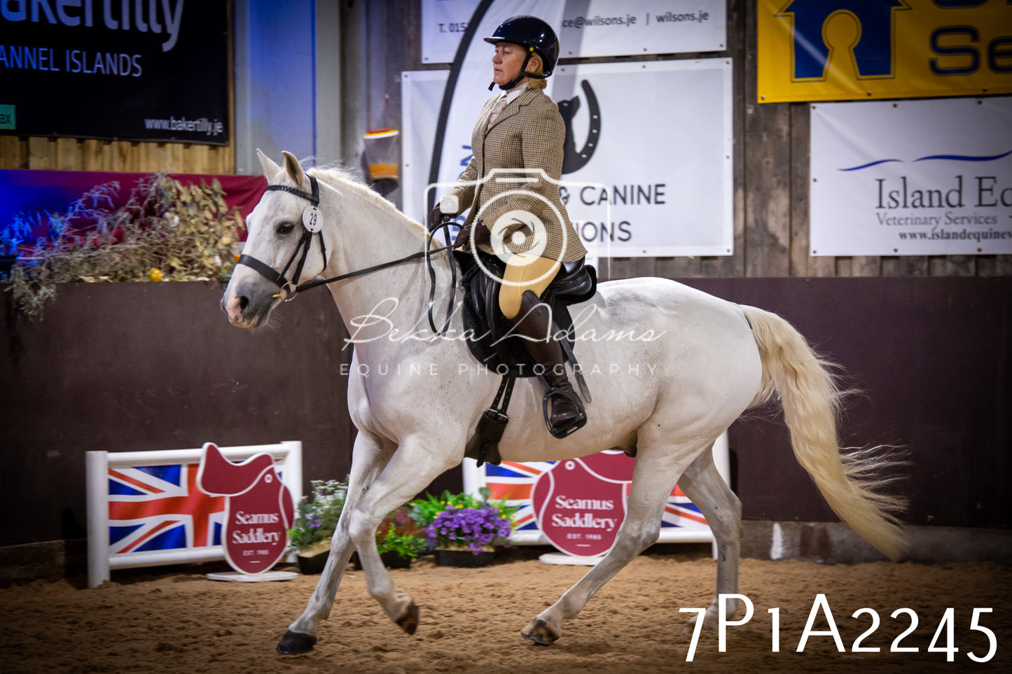 JHOYS 2025 - Ridden Showing - 28th September - pt1