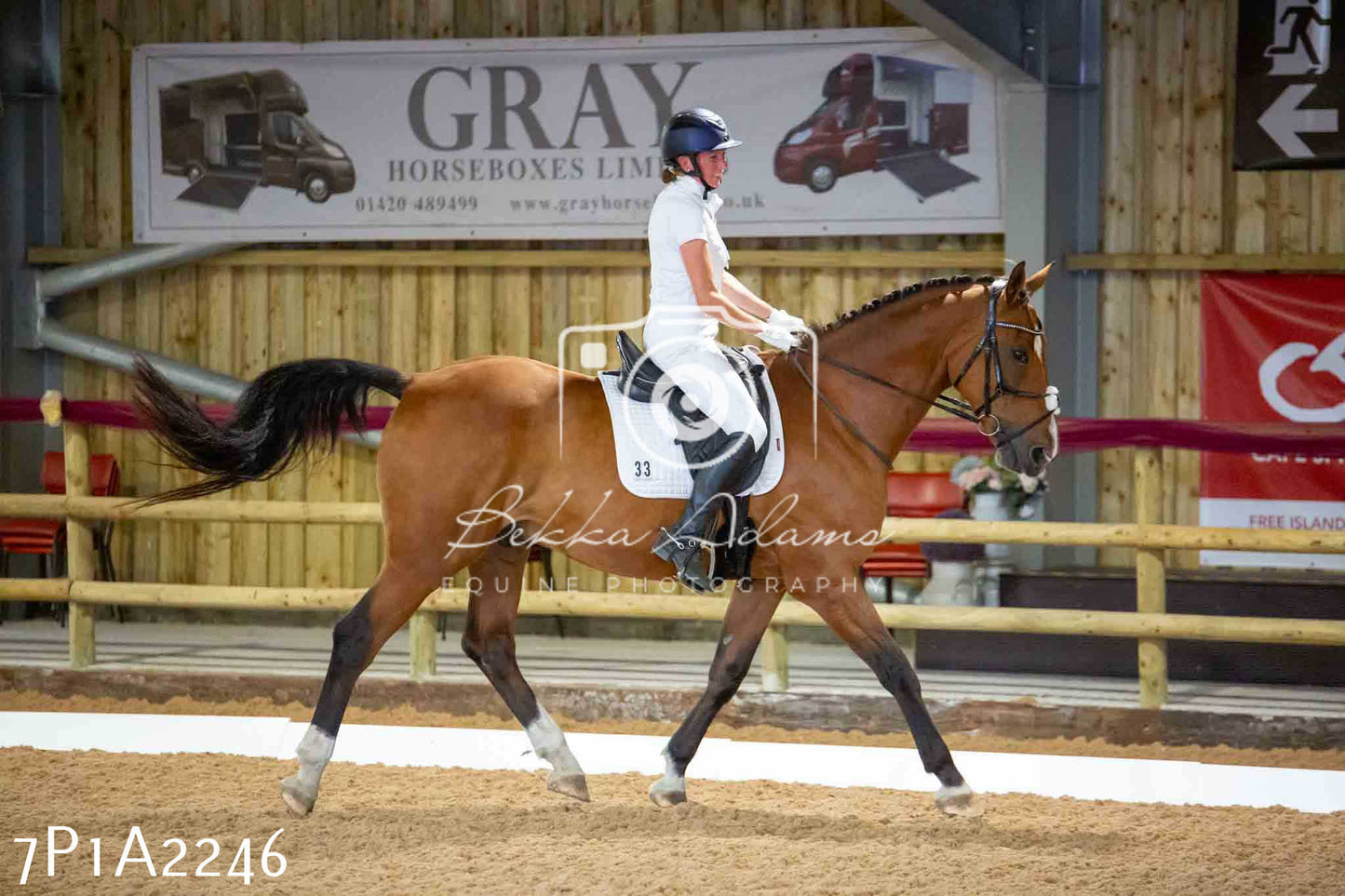 JHOYS 2023 - 6th September - Dressage