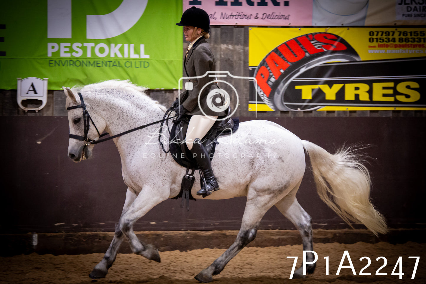JHOYS 2025 - Ridden Showing - 28th September - pt1