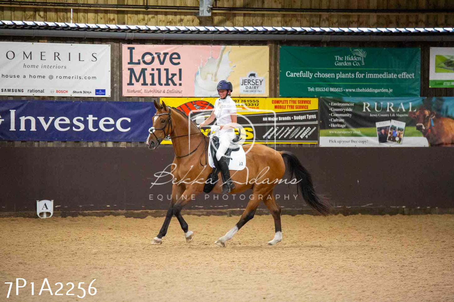 JHOYS 2023 - 6th September - Dressage