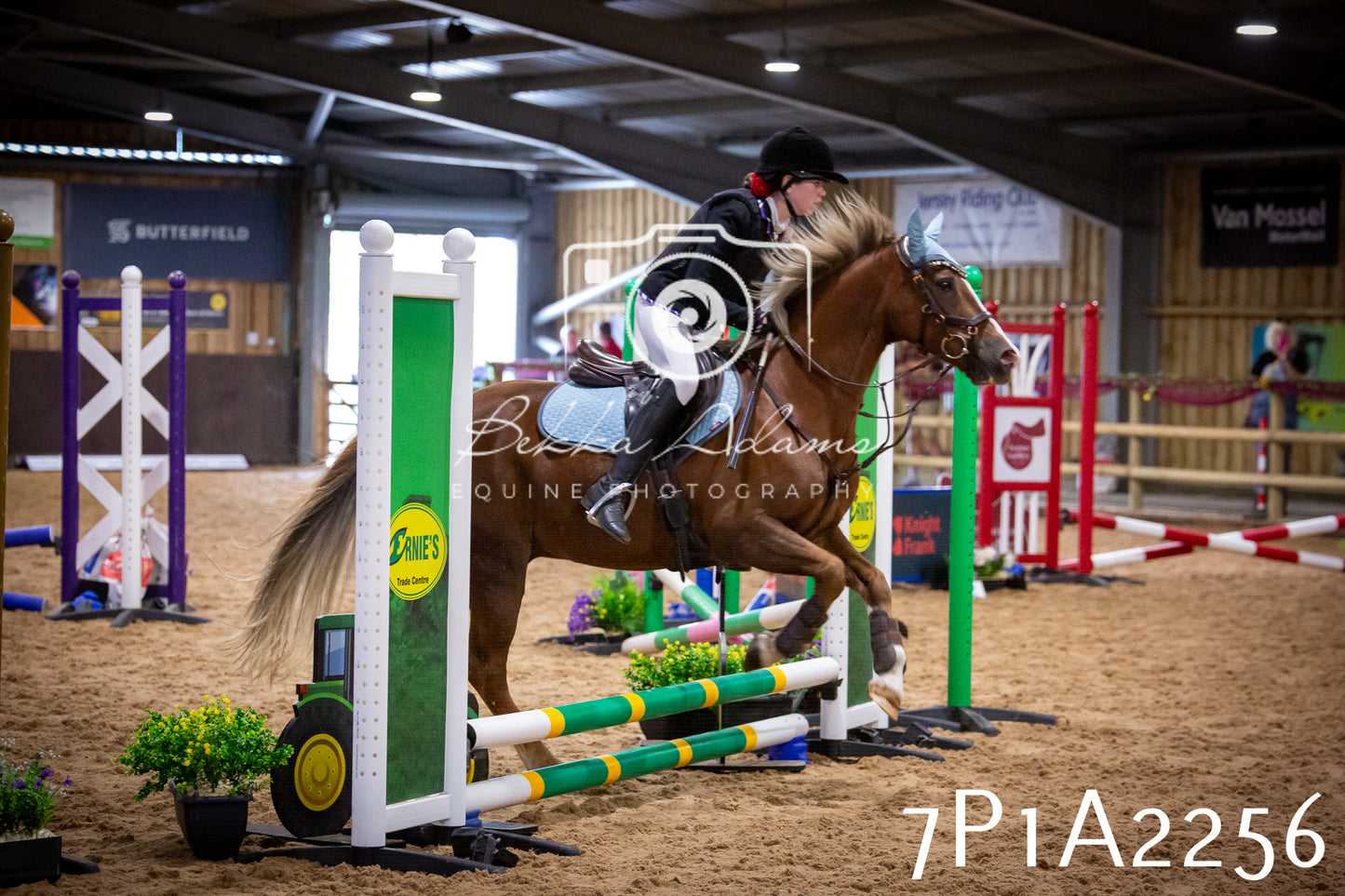 JHOYS 2025 - Show Jumping - 20th September pt1