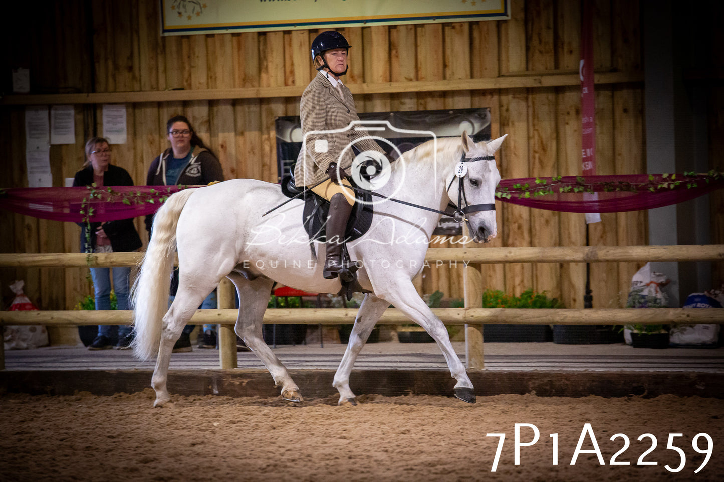 JHOYS 2025 - Ridden Showing - 28th September - pt1