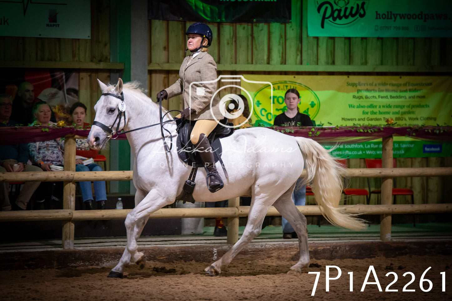 JHOYS 2025 - Ridden Showing - 28th September - pt1