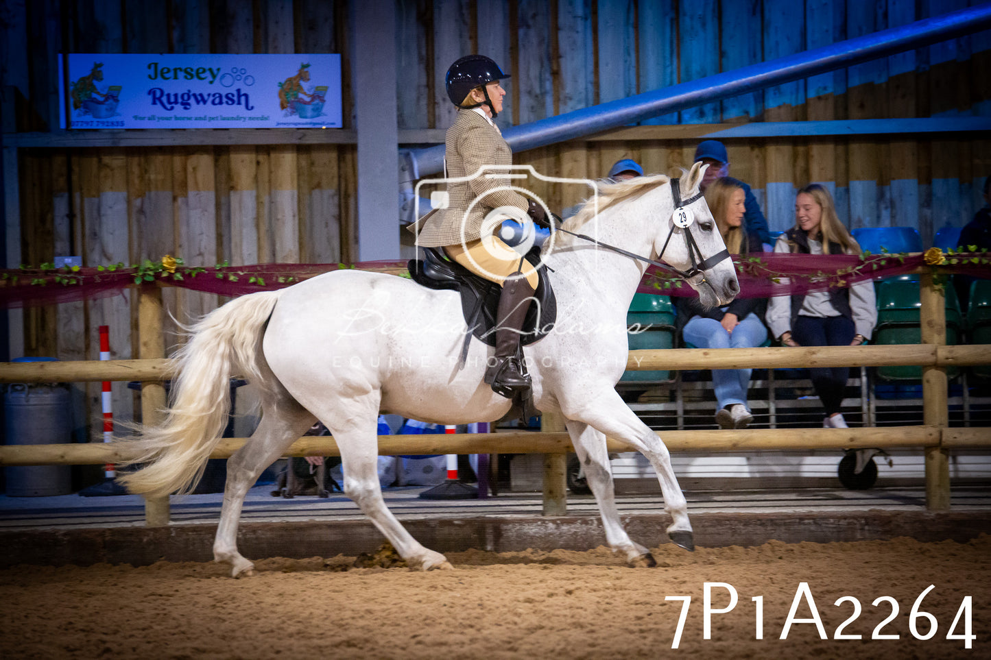 JHOYS 2025 - Ridden Showing - 28th September - pt1