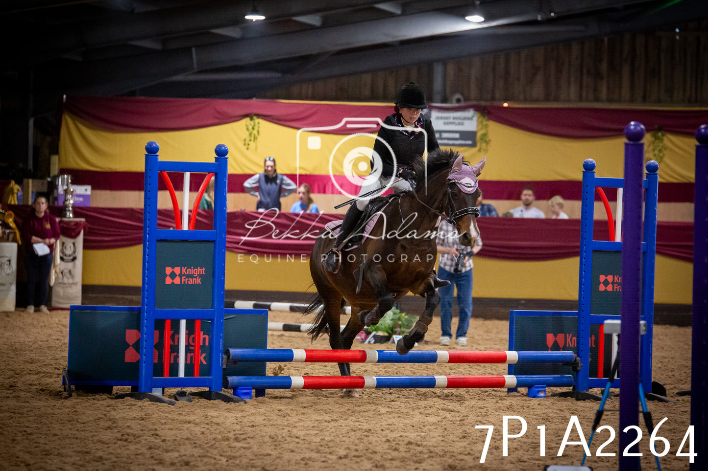 JHOYS 2025 - Show Jumping - 20th September pt1