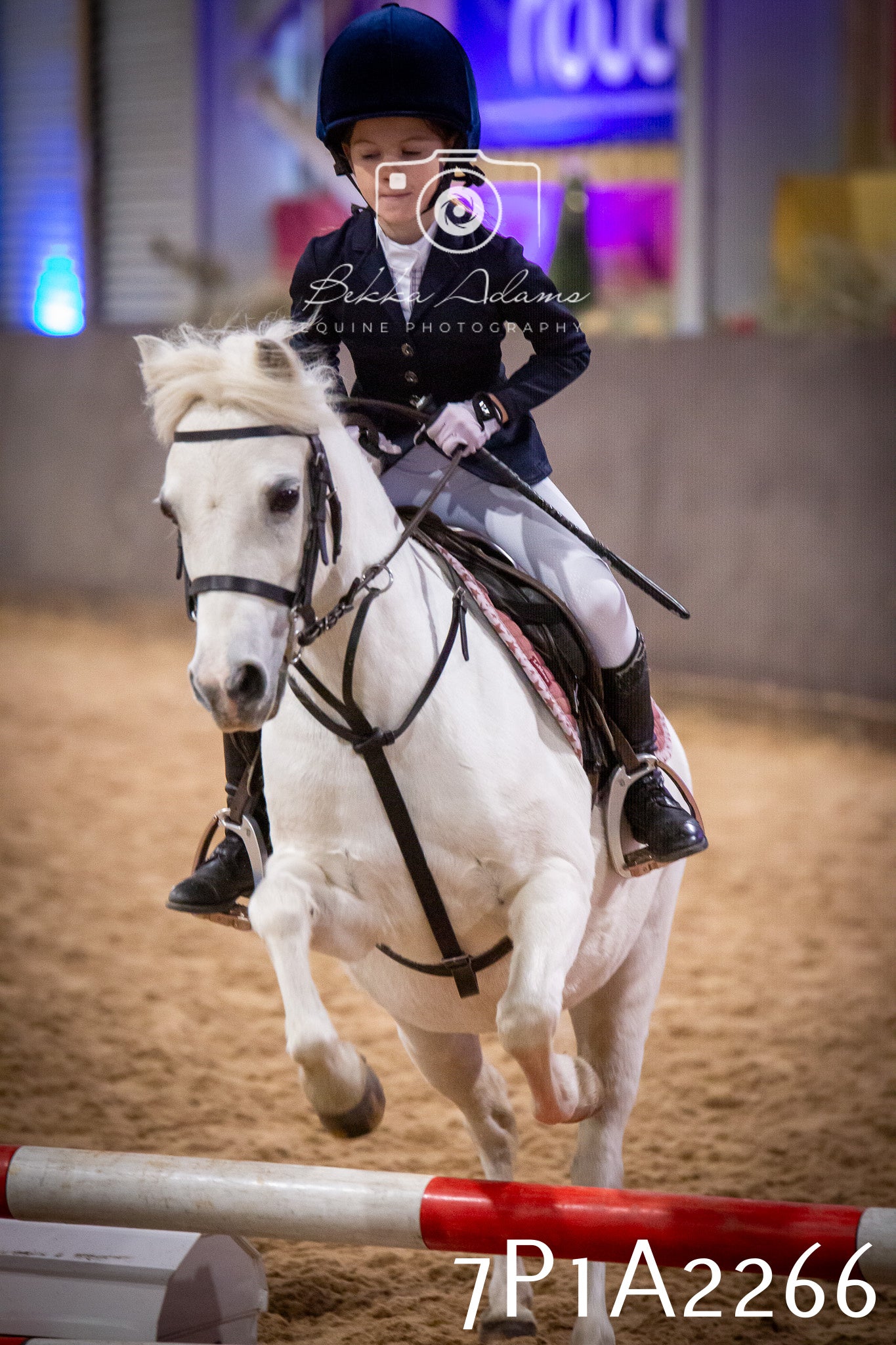 JHOYS 2025 - Show Jumping - 20th September pt1