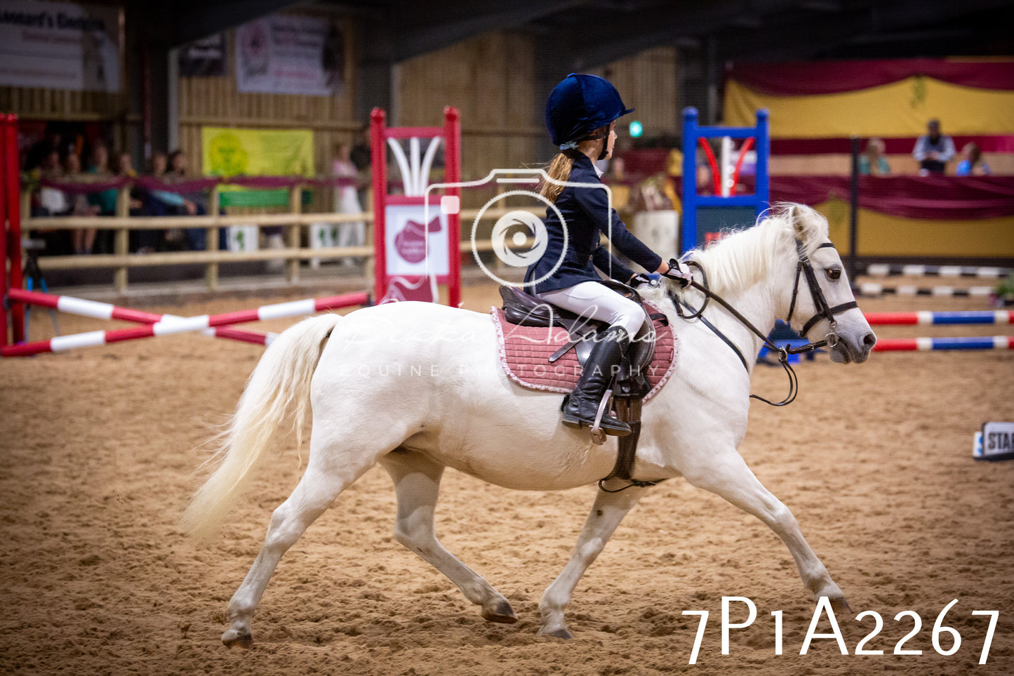 JHOYS 2025 - Show Jumping - 20th September pt1