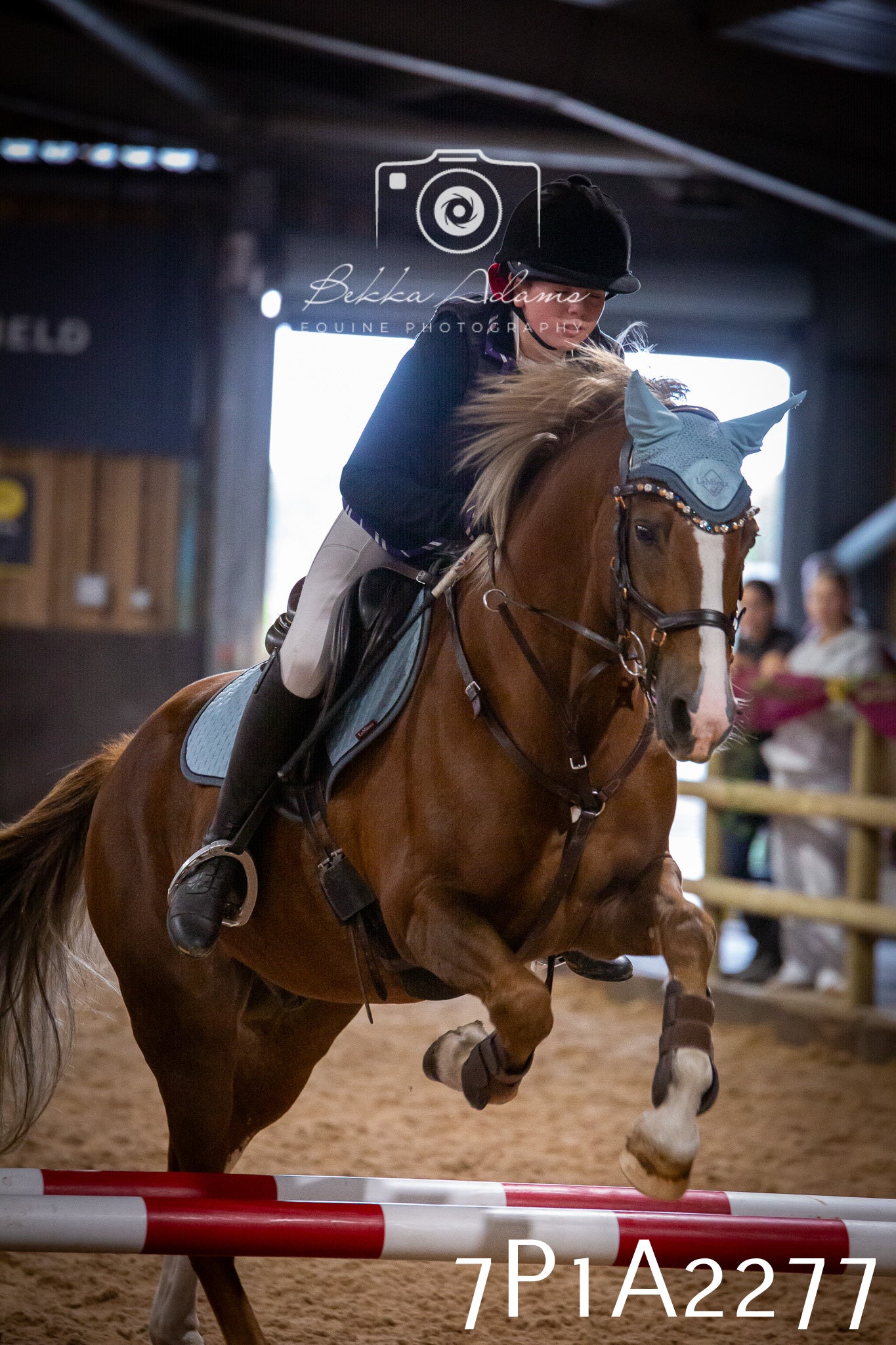 JHOYS 2025 - Show Jumping - 20th September pt1