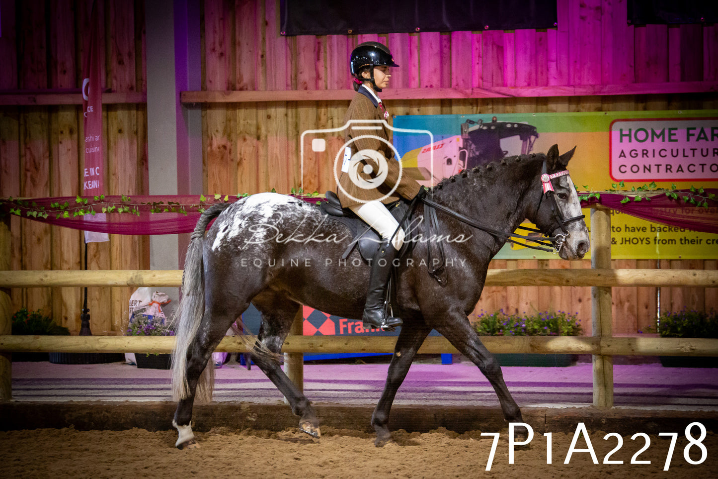 JHOYS 2025 - Ridden Showing - 28th September - pt1