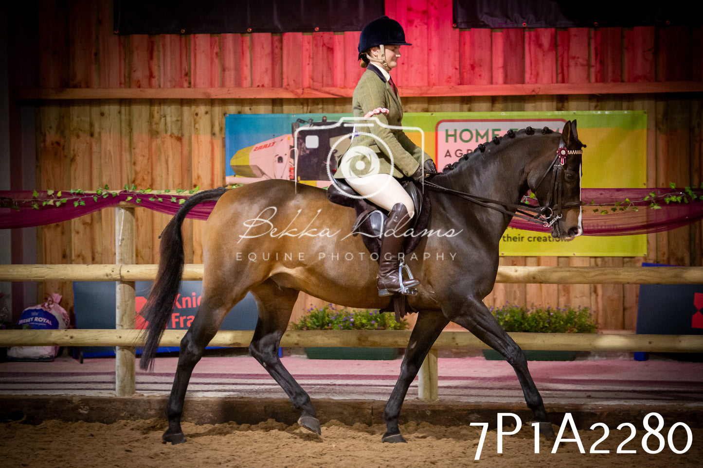JHOYS 2025 - Ridden Showing - 28th September - pt1