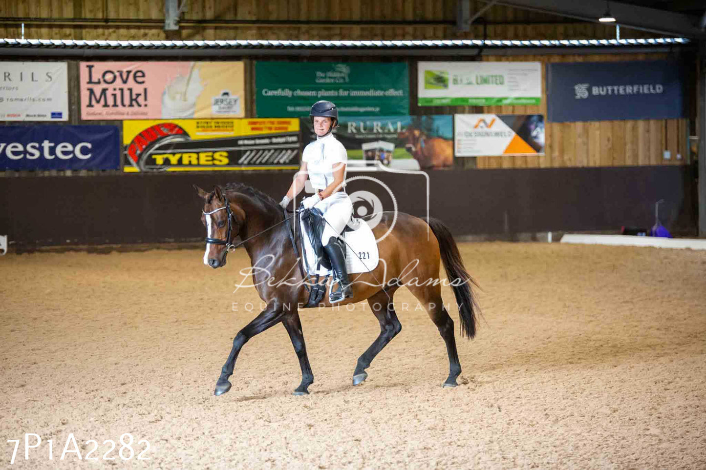 JHOYS 2023 - 6th September - Dressage