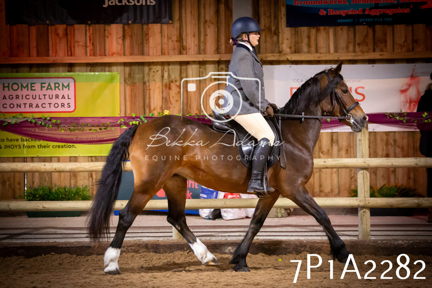 JHOYS 2025 - Ridden Showing - 28th September - pt2