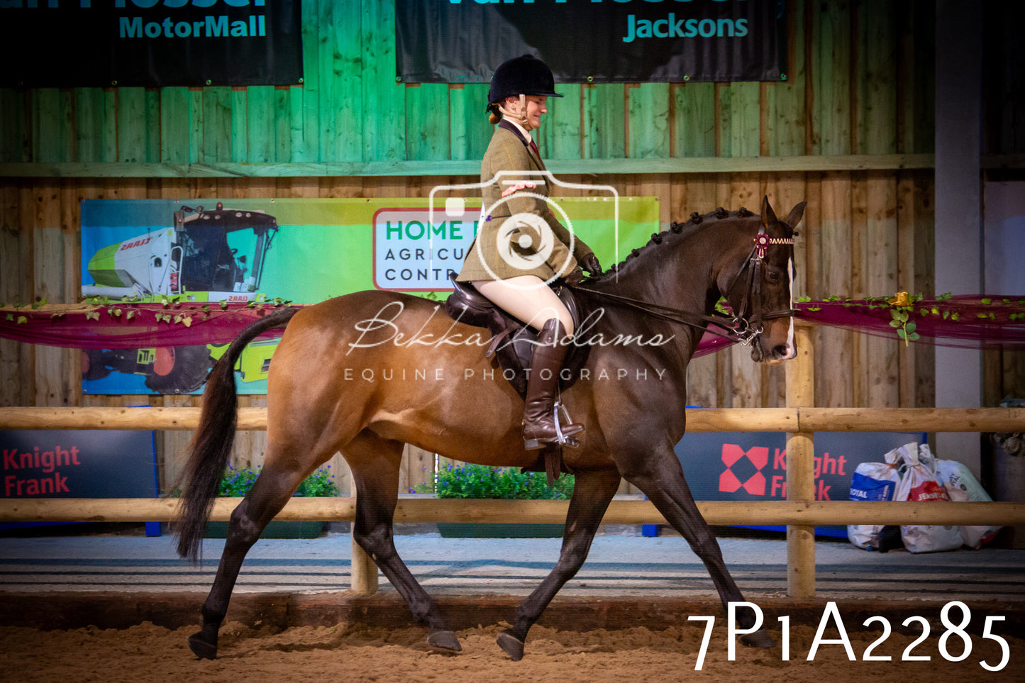 JHOYS 2025 - Ridden Showing - 28th September - pt2