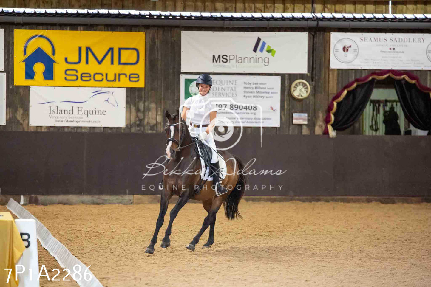 JHOYS 2023 - 6th September - Dressage