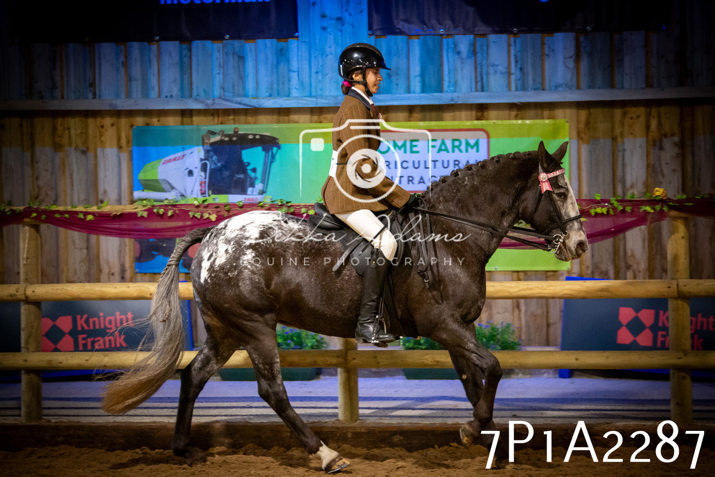 JHOYS 2025 - Ridden Showing - 28th September - pt2
