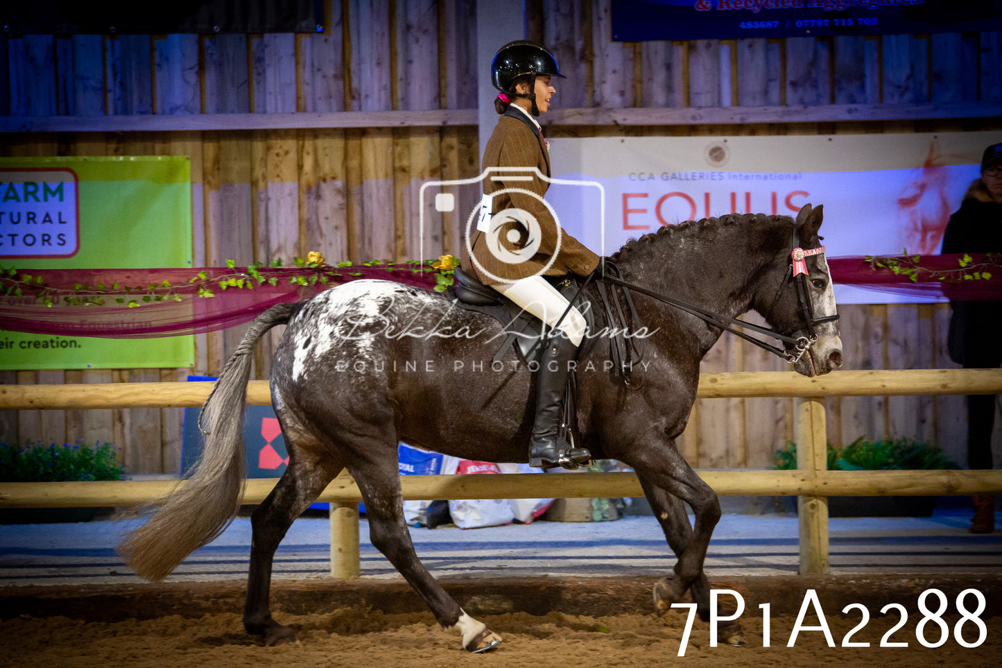 JHOYS 2025 - Ridden Showing - 28th September - pt2