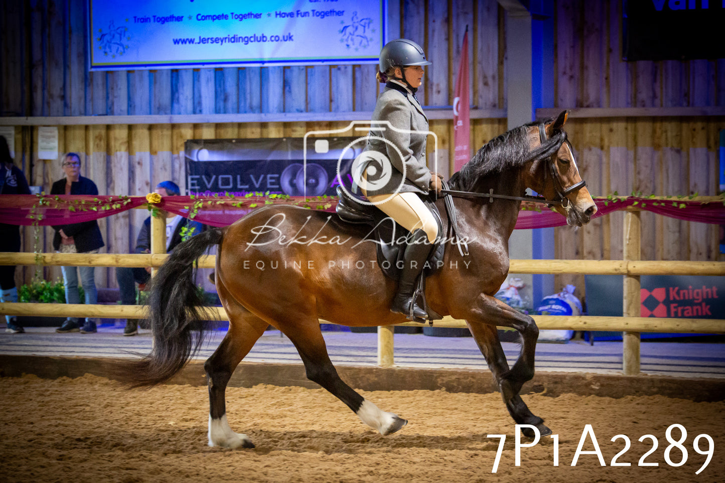 JHOYS 2025 - Ridden Showing - 28th September - pt2