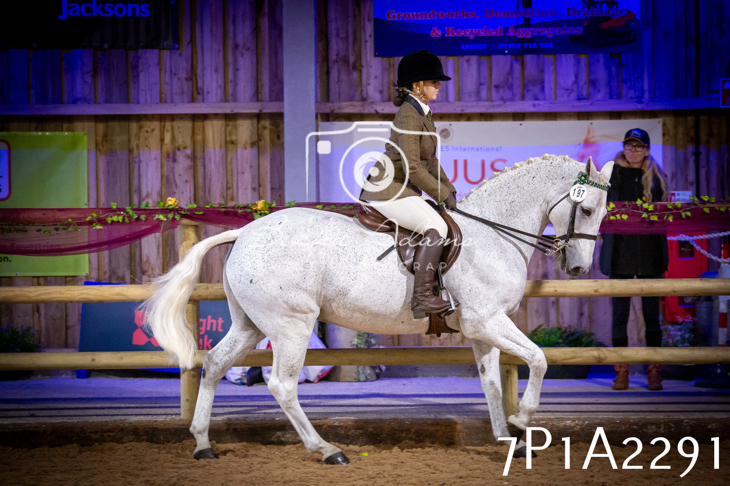 JHOYS 2025 - Ridden Showing - 28th September - pt2