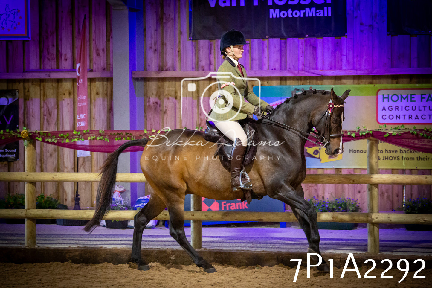 JHOYS 2025 - Ridden Showing - 28th September - pt2