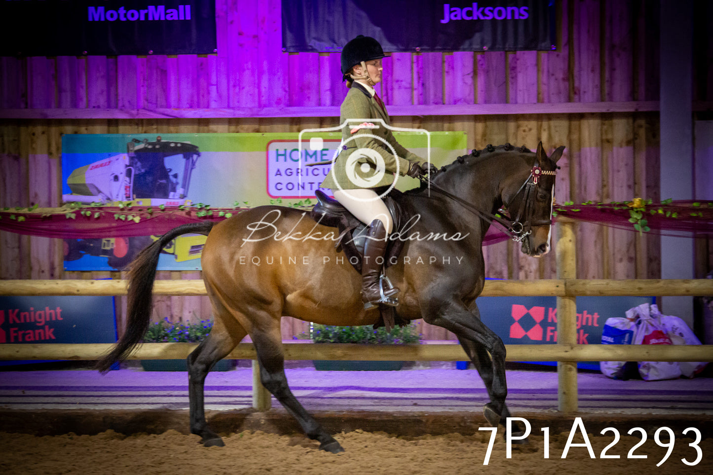 JHOYS 2025 - Ridden Showing - 28th September - pt2