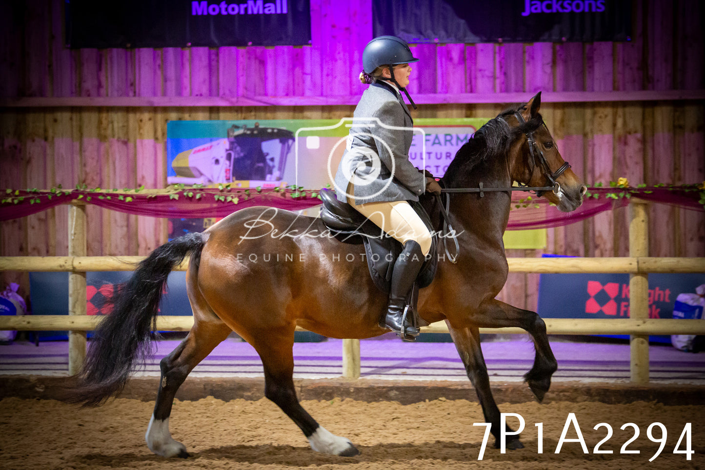 JHOYS 2025 - Ridden Showing - 28th September - pt2
