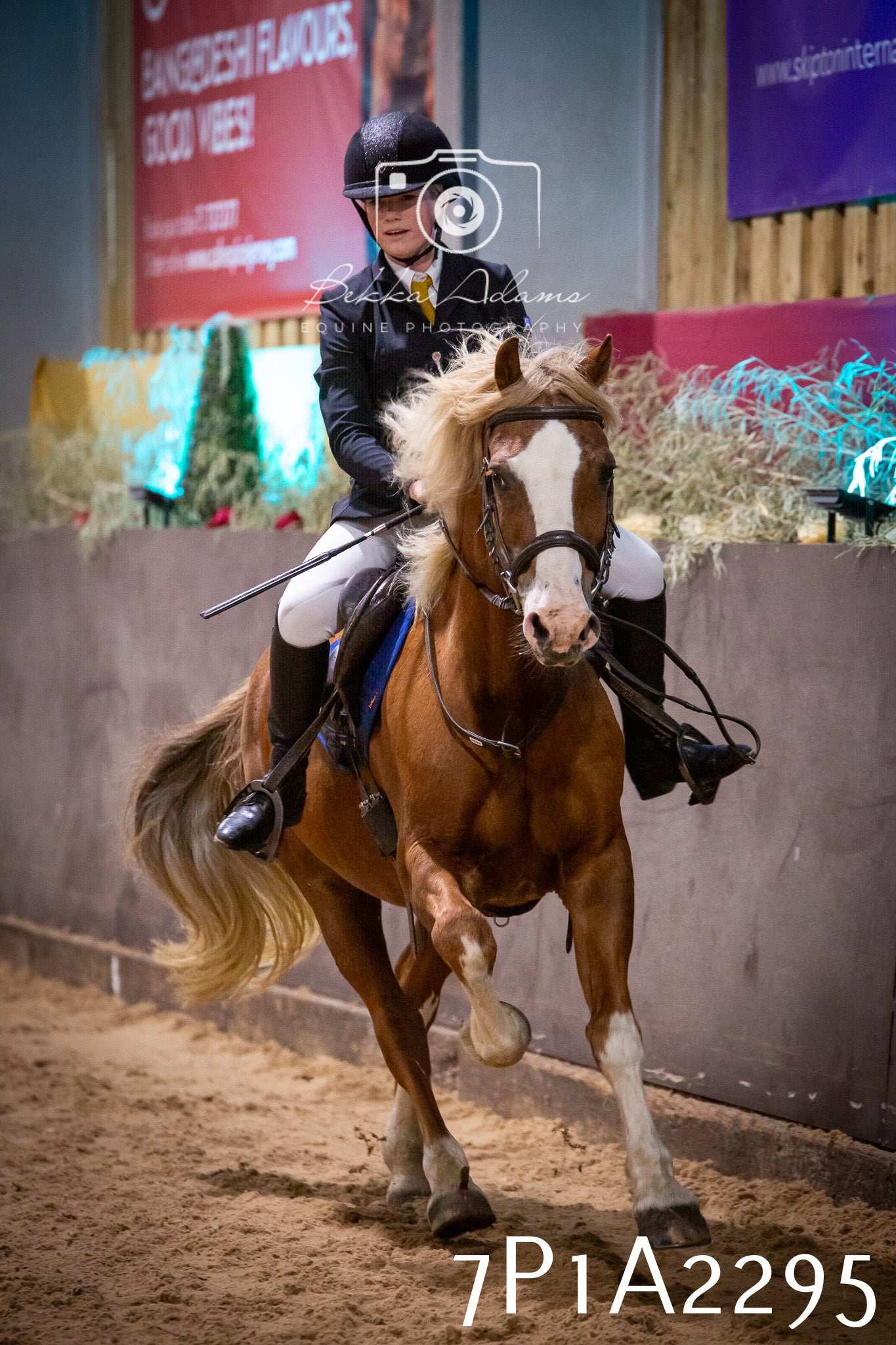 JHOYS 2025 - Show Jumping - 20th September pt1