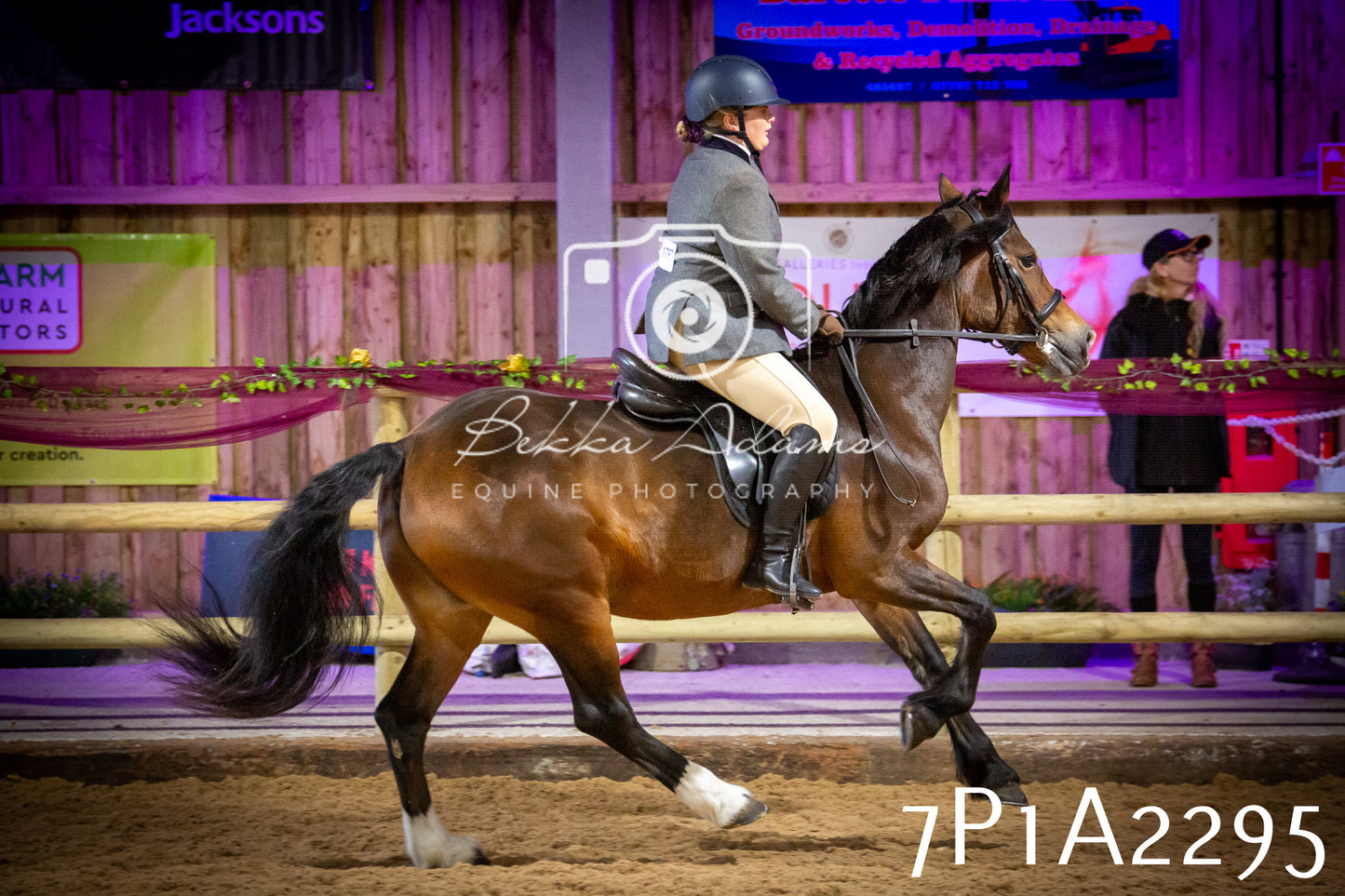 JHOYS 2025 - Ridden Showing - 28th September - pt2