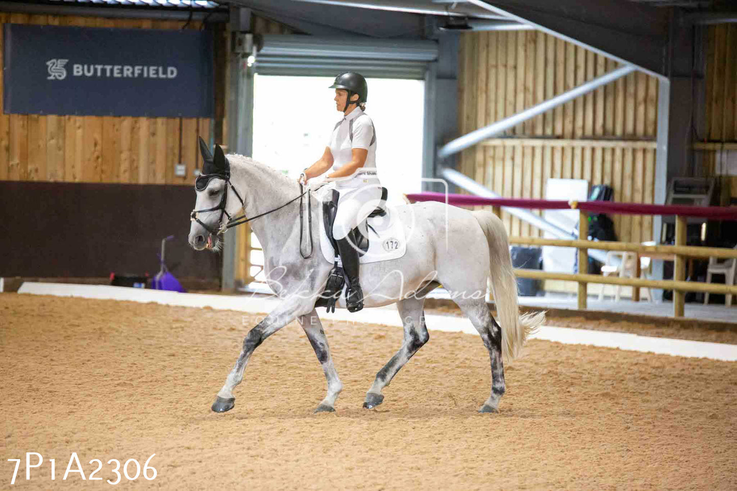 JHOYS 2023 - 6th September - Dressage