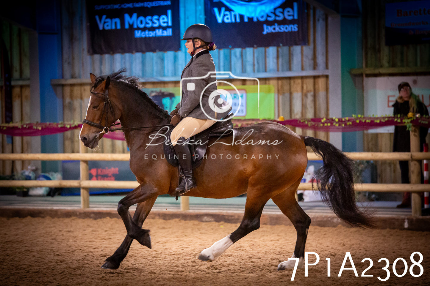 JHOYS 2025 - Ridden Showing - 28th September - pt2