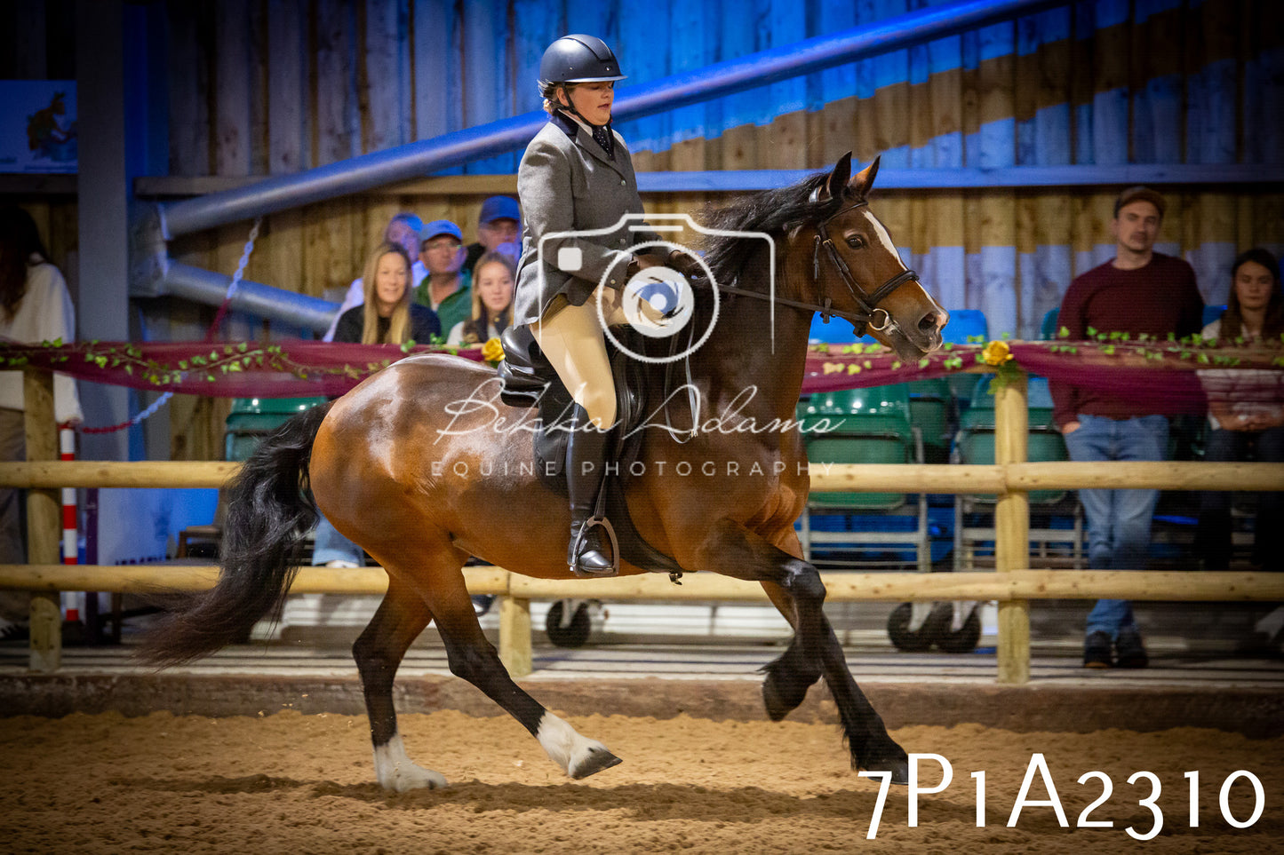JHOYS 2025 - Ridden Showing - 28th September - pt2