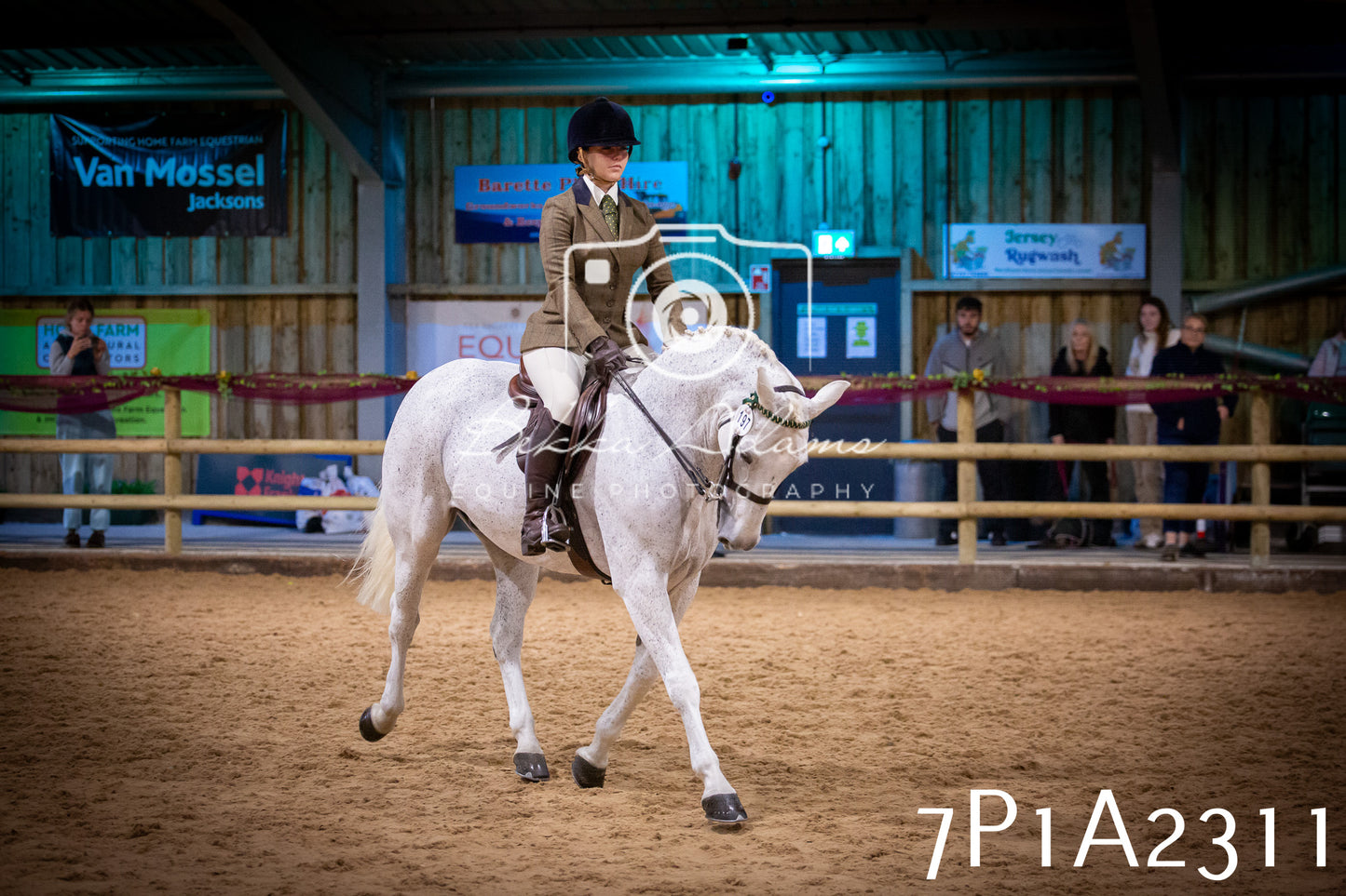 JHOYS 2025 - Ridden Showing - 28th September - pt2