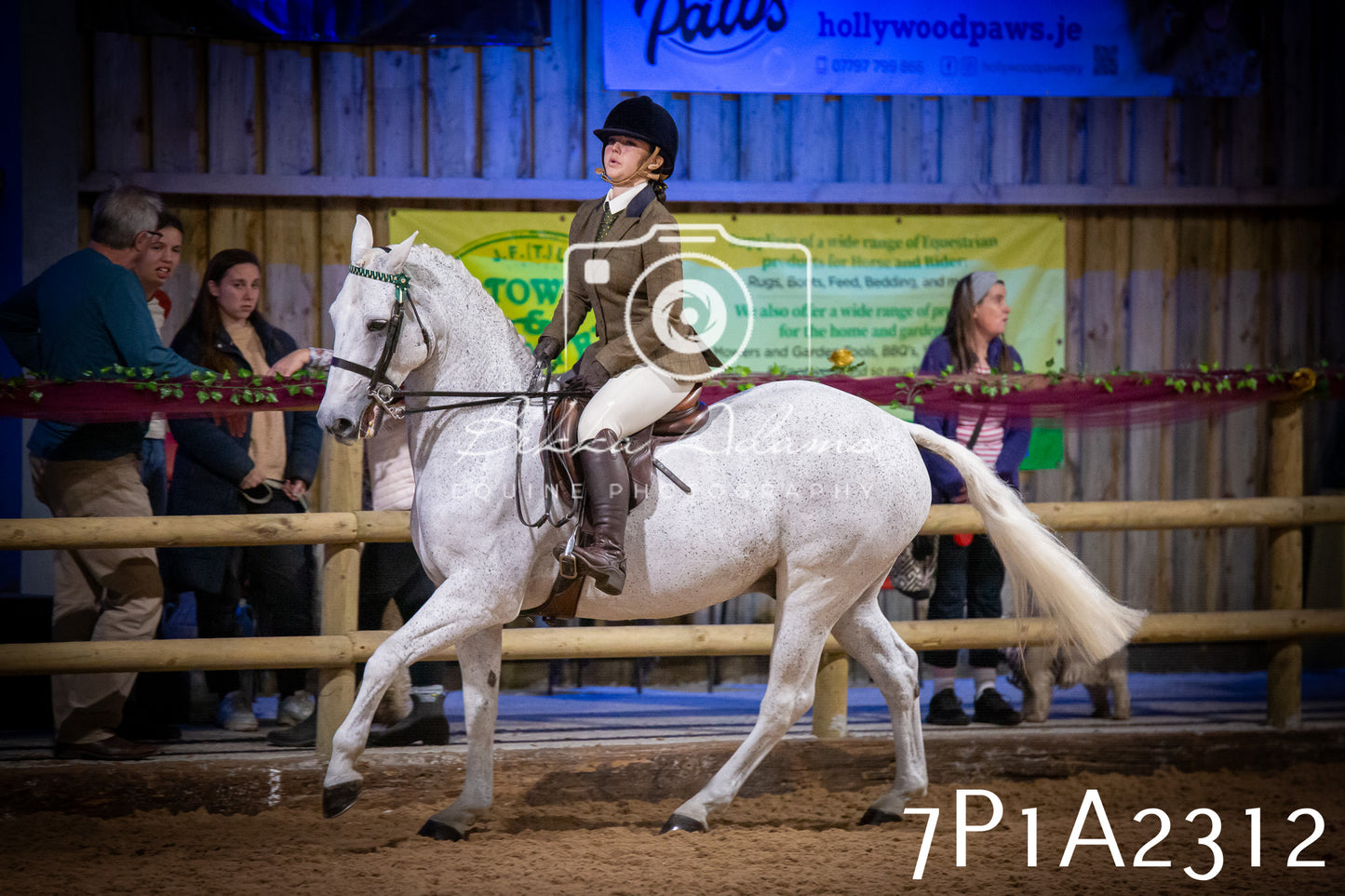 JHOYS 2025 - Ridden Showing - 28th September - pt2