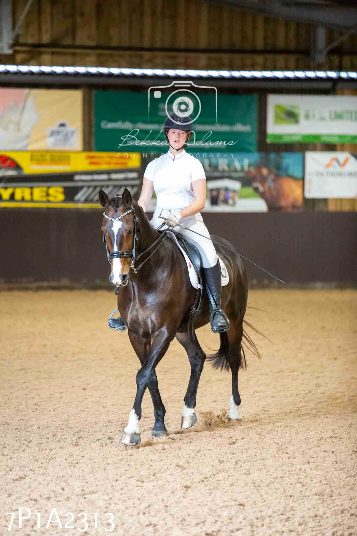 JHOYS 2023 - 6th September - Dressage