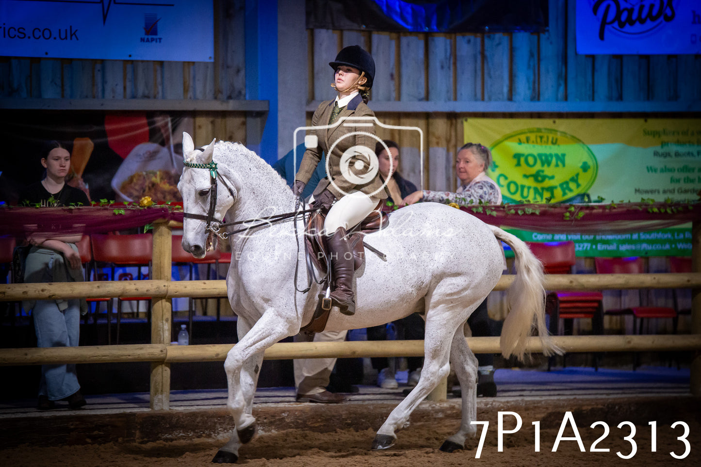 JHOYS 2025 - Ridden Showing - 28th September - pt2