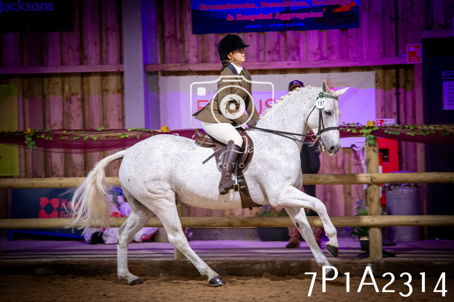JHOYS 2025 - Ridden Showing - 28th September - pt2