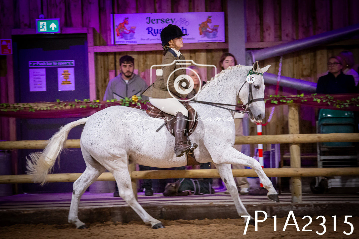 JHOYS 2025 - Ridden Showing - 28th September - pt2