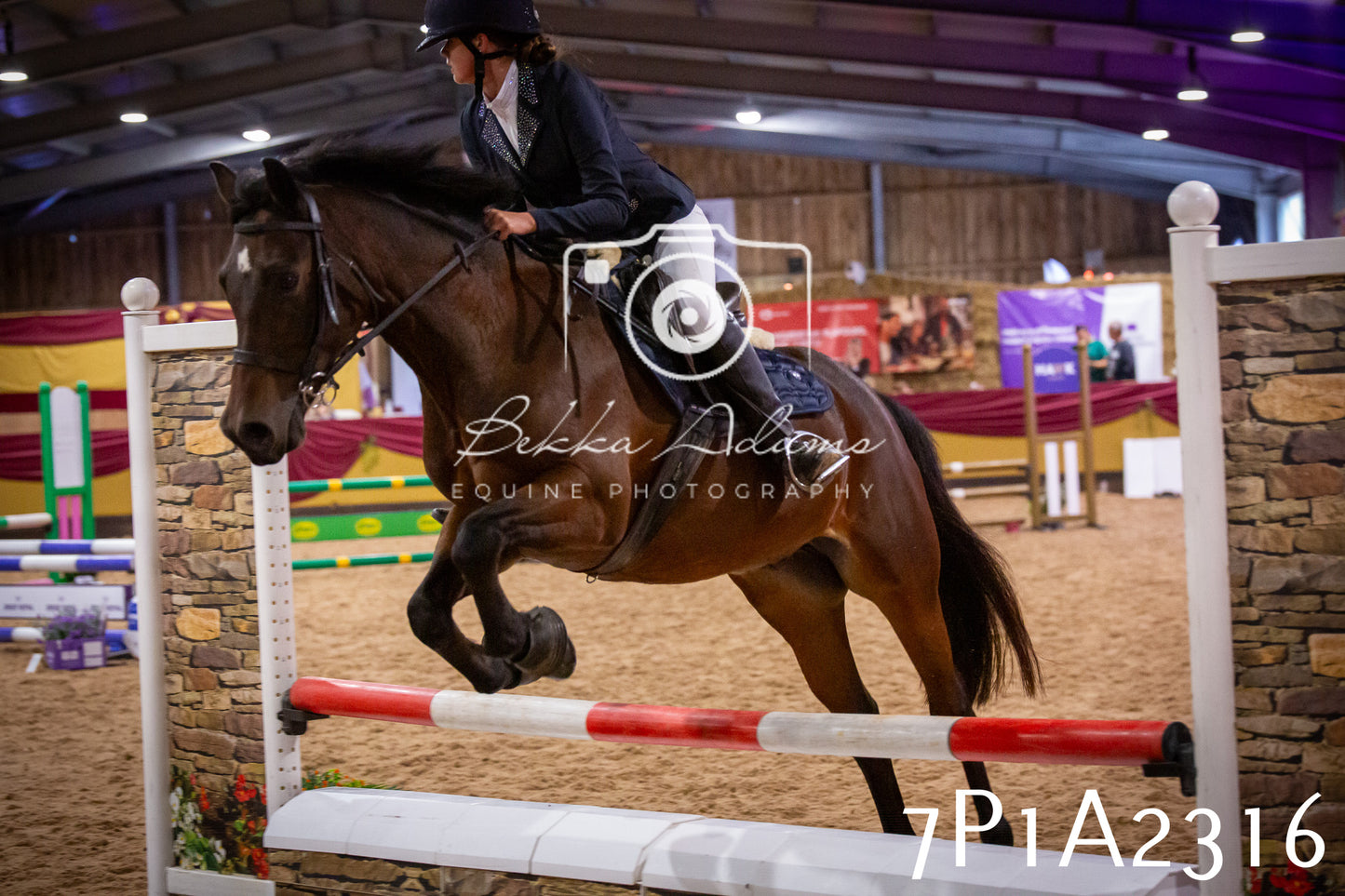 JHOYS 2025 - Show Jumping - 20th September pt1
