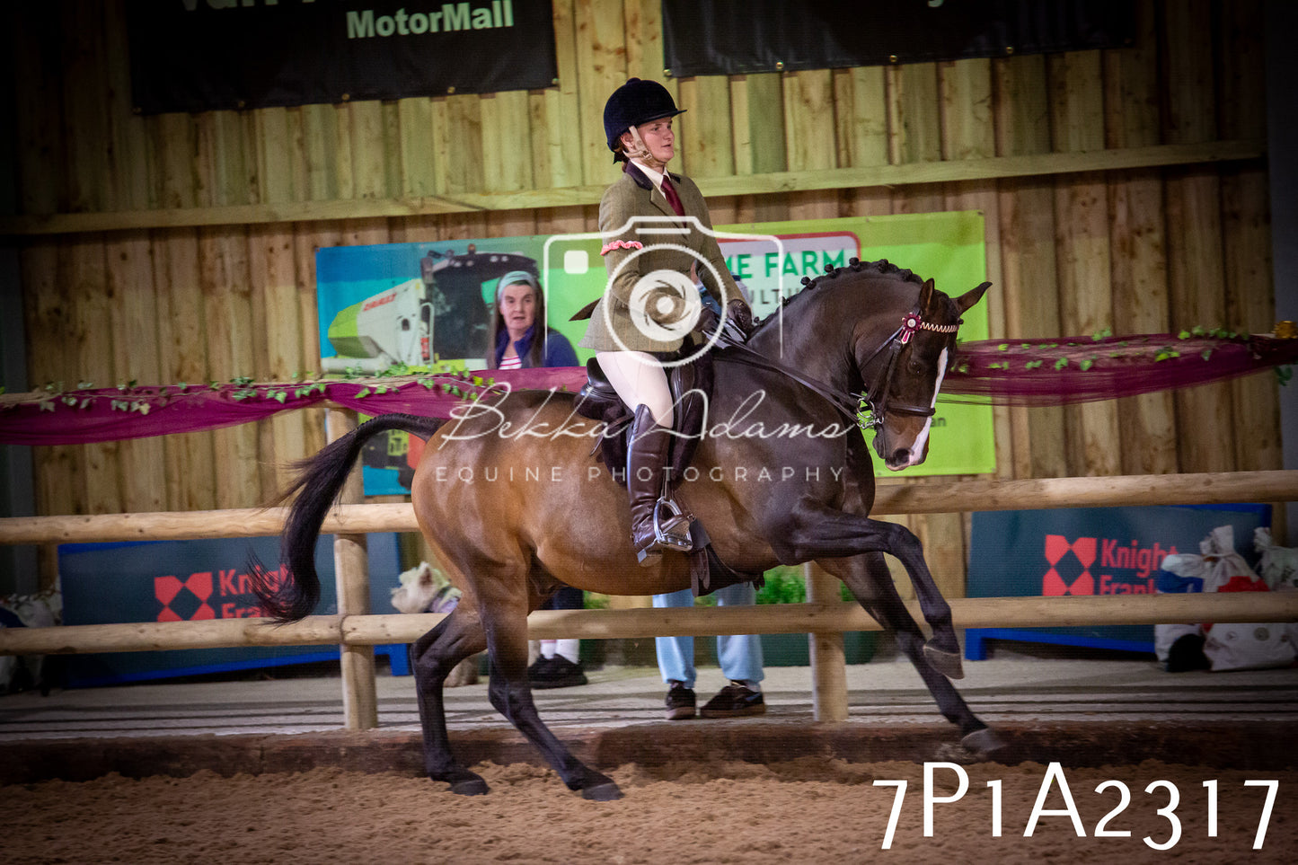 JHOYS 2025 - Ridden Showing - 28th September - pt2