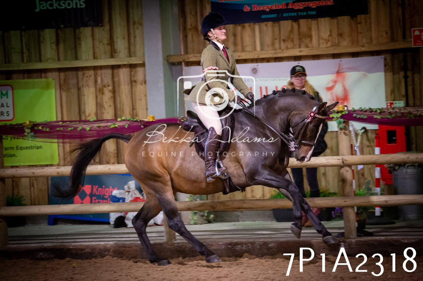 JHOYS 2025 - Ridden Showing - 28th September - pt2